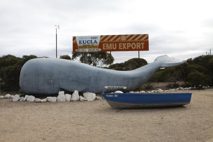 Welcome Whale at Eucla