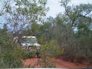 One Lane Road to Willie Creek