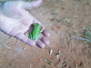 Welcome Party at Broome