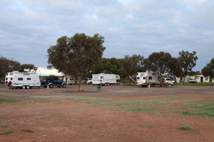 Early Morning at Nuttbush