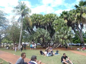Relaxing at Courthouse Markets