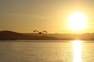 Sunset at Lake Argyle