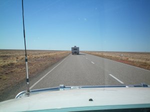 Flat Grassy Landscape