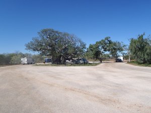 Lunch at Boab Rest Area