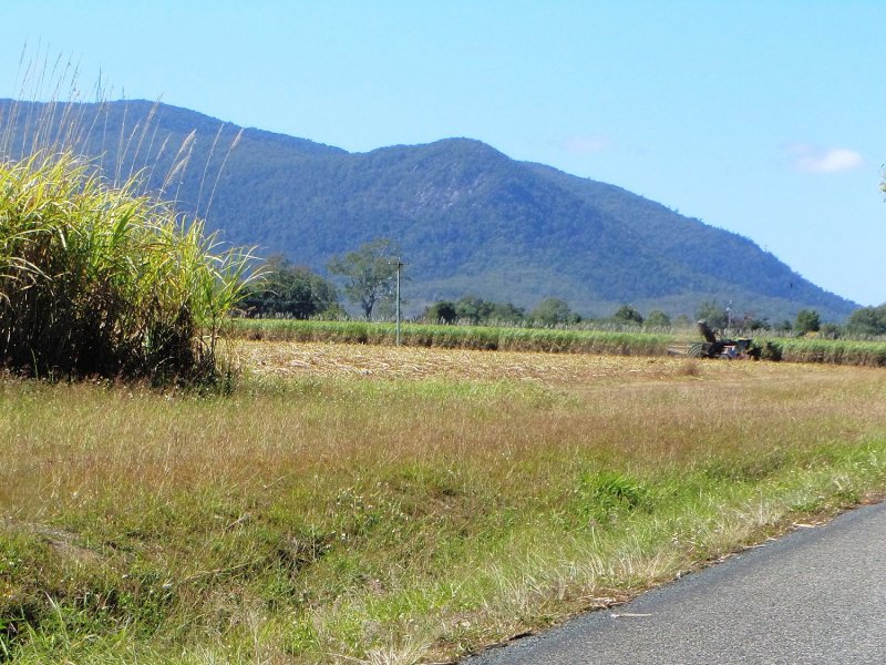 Cane Harvesting outside Mackay