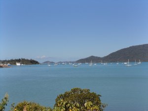 View at Shute Harbour