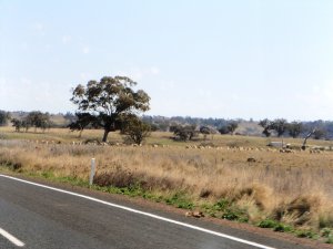Gilgandra - 5025