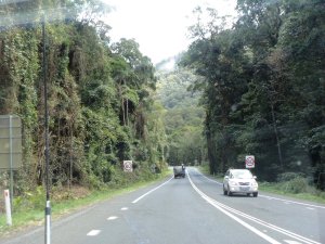 Great Dividing Range
