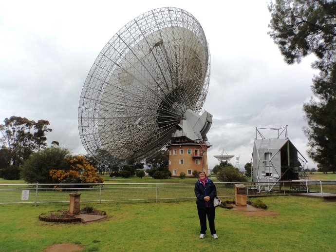 Ann at The Dish