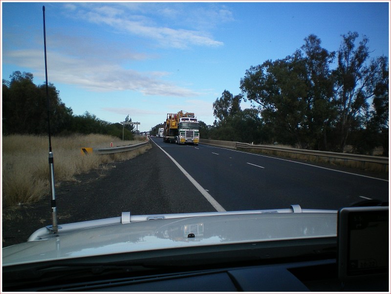 Need to Pull off the Road for these Big Boys