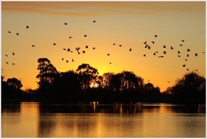 Finley2012_3024_Stomped