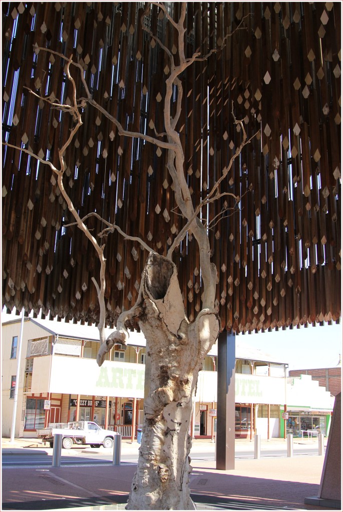  Tree of Knowledge at Barcaldine