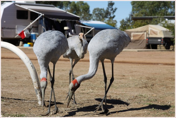 travelling_4270_Stomped