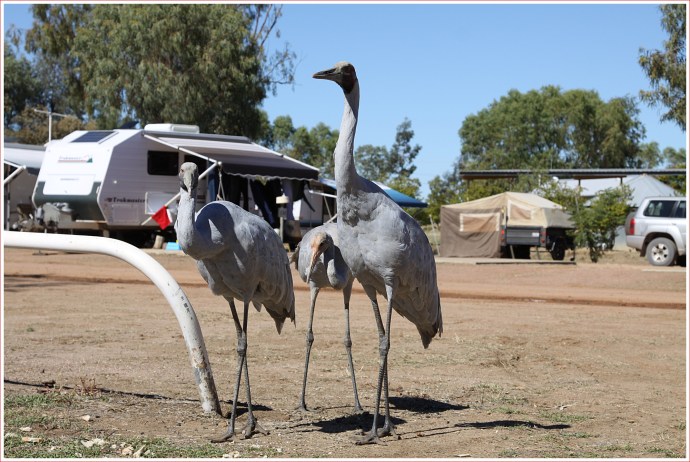 travelling_4271_Stomped