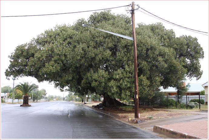 Travels_3368_Stomped