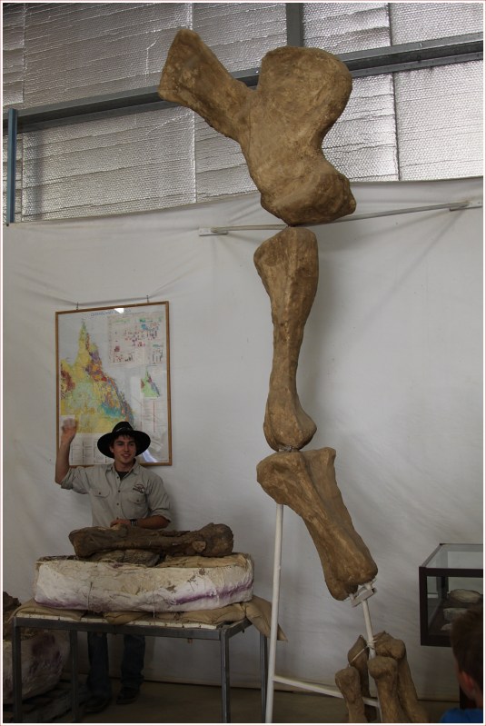 Bones and Tour Guide at the Dinosaur Centre near Winton