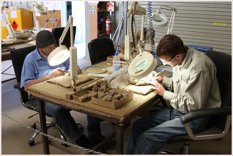 Hard at Work at the Dinosaur Centre near Winton