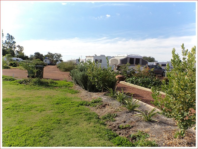 Herbs, fruit and vegies for all