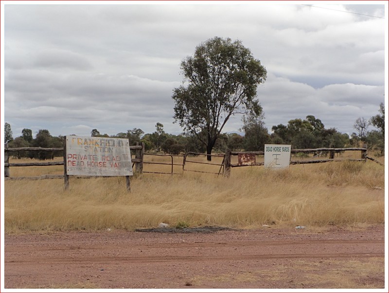 What's a Dead Horse Yard?