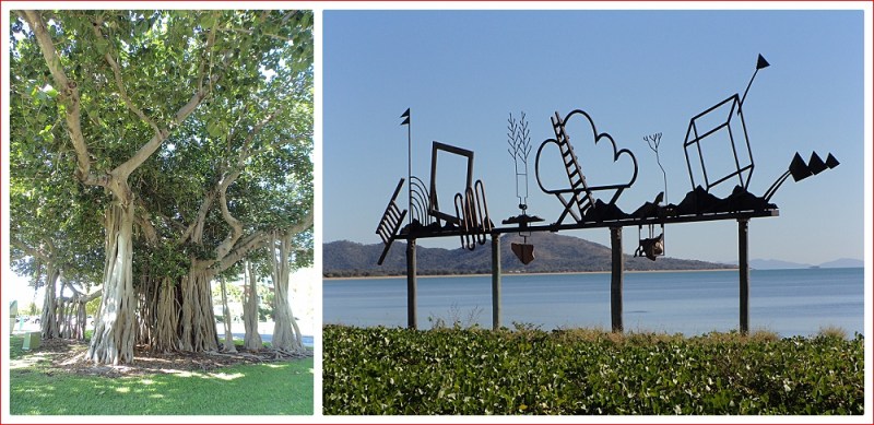 Amazing Trees and Artworks