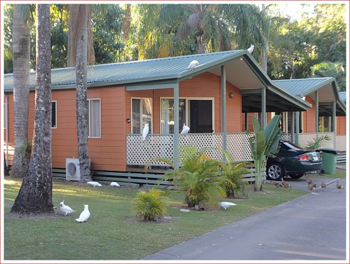 Some of the permanent residents we share the caravan park with.