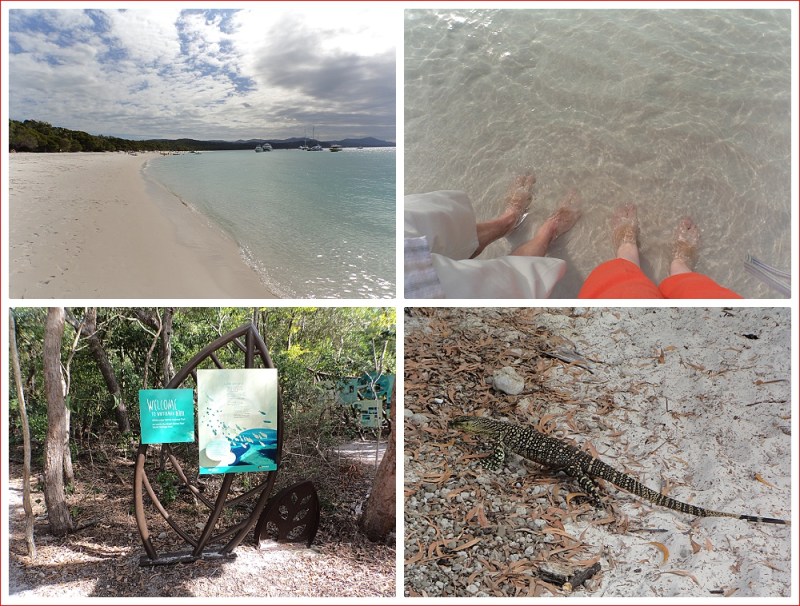 Views of Whitehaven Beach