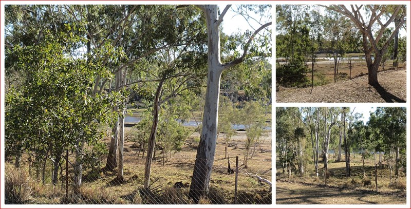 Views of the Boyne River from our van tonight