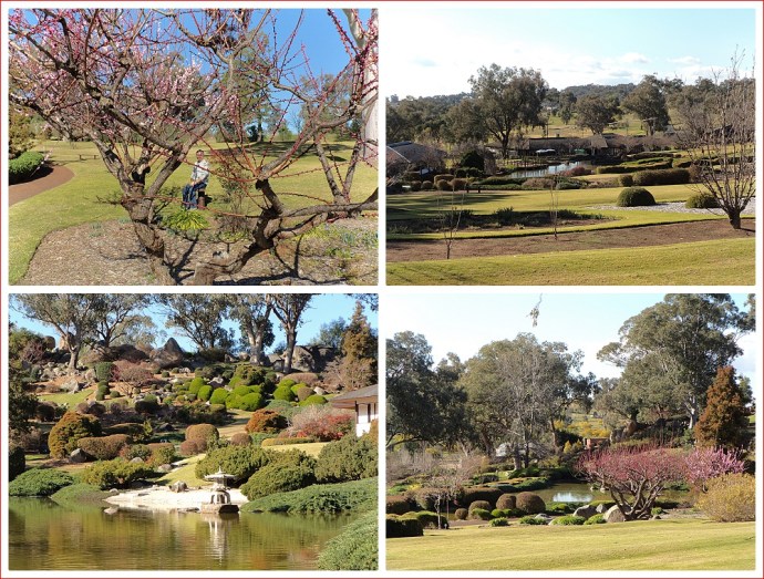 Cowra Japanese Garden