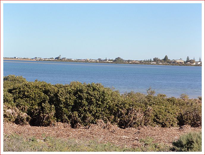 View across to Cowell.