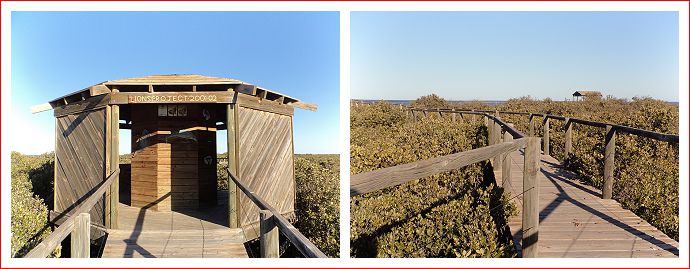 Mangrove Walk.