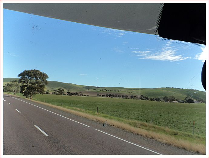 Green after the rain.