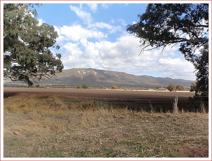 Looking out our back door this morning.