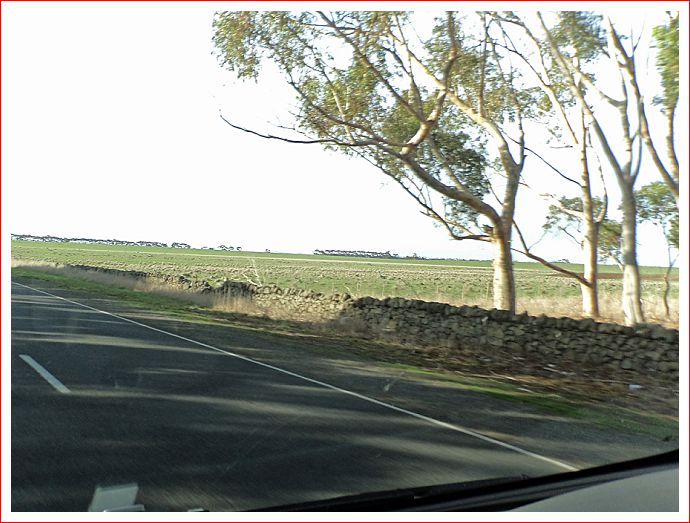 Miles and miles of historic dry stone wall fences.