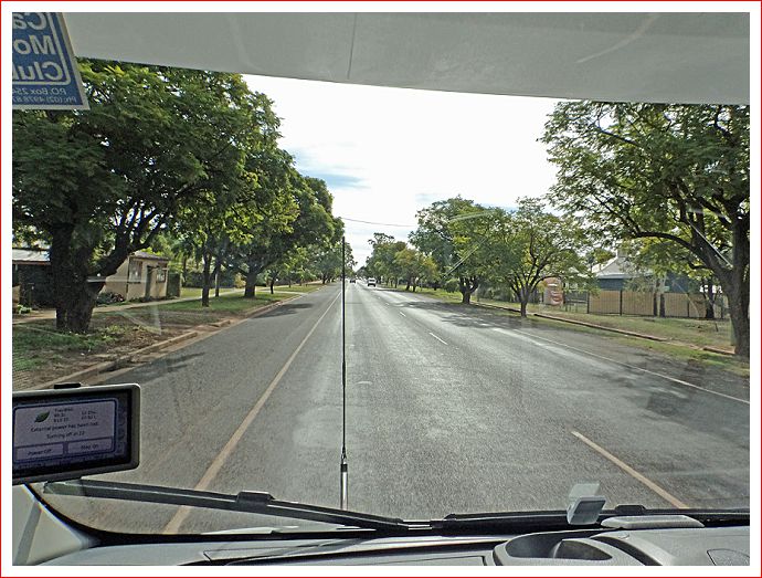Jacaranda trees on the way into St George