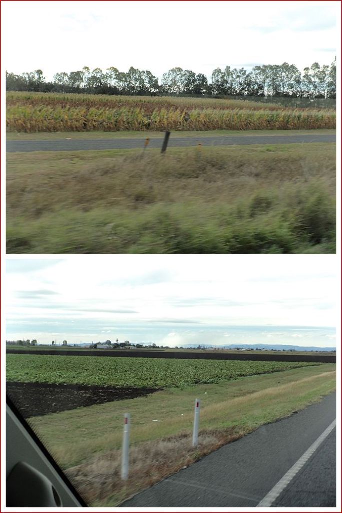 Sugar cane fields and irrigated vegetables