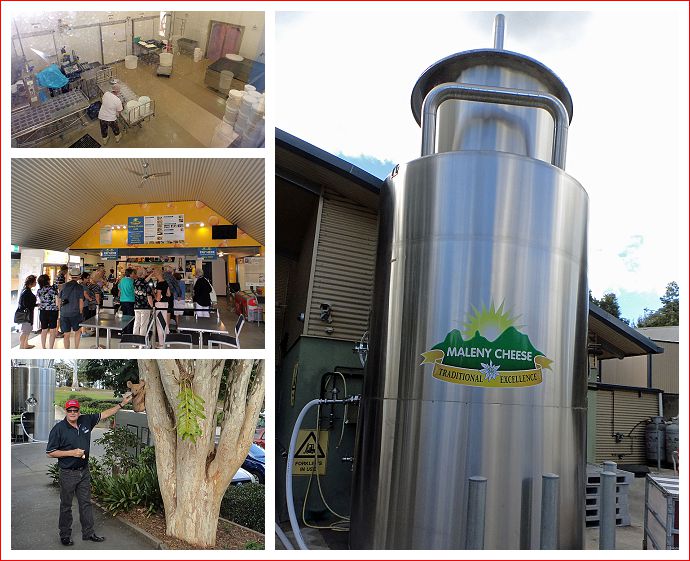 Maleny Cheese Factory
