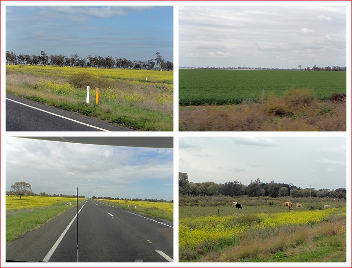 Views along the Newell Highway