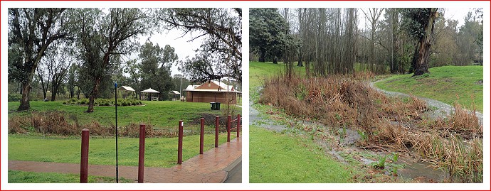 Neilson Park at Coonabarabran waterlogged
