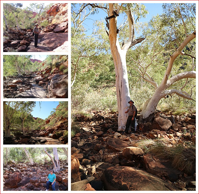 Scenes from the Kings Canyon Creek Walk